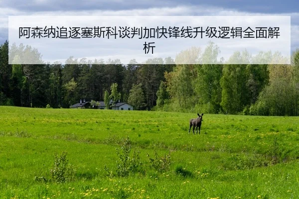 阿森纳追逐塞斯科谈判加快锋线升级逻辑全面解析