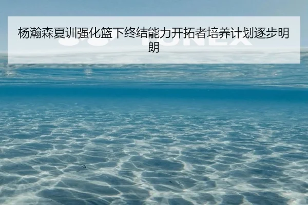 杨瀚森夏训强化篮下终结能力开拓者培养计划逐步明朗
